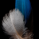 Isabel Lozano doniga