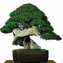 Gloria Romero Sánchez