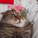 Noelia Hernando Vieites