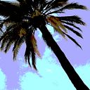 Guido Olivares Salinas