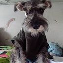 Christopher Alexander Osnayo