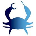 Crab Taller Creativo