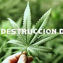 Jose Roblez Landavery