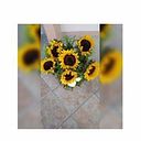 Julio Vázquez Hernández