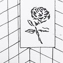 Bárbara Arango Serrano