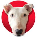 Ramón Pérez-Colomer