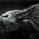 Felipe Rodríguez Aguilar