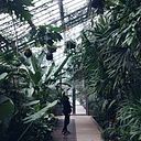 Estefani Rodriguez Campos