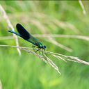 Alejandra Cardozo Spinoza