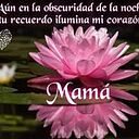 Carmenza Avilez Gil