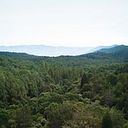 Lina Martinez Montoya