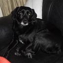 angiepaolacamachodiaz38