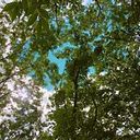 Angeles Garcia Garciia