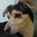 valenzuela_diego1988