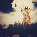 Ivuki Torres-Salvador