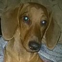 Natalia Zapata Valencia