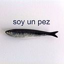 Georgina Santibañez Verastegui