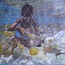 LEONARDO TORRES GAMEZ