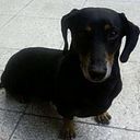 Dianlys Peña Macha Do