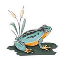 Maria Márquez Villegas