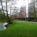 María Cristina Zeballos Migues