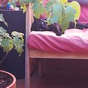 César Jorge García Núñez