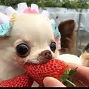 Alicia Albarrán Linares