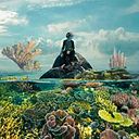 Juan Sebastián Díaz Sánchez