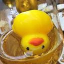 Íngrid Bayés Puigdesens