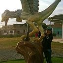 Evelyn Añasco Cayllahua