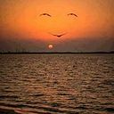 Ana Belen Royo Garcia