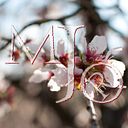 Maria José Ortiz Ramos