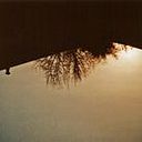 valentinafuentesleal