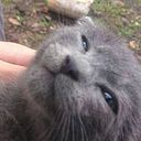 Bastian O'pazo Saldias