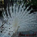 Pilar Martin Nolberto