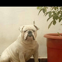 Dustin Bastidas Saltos