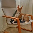 Carlos Jiménez Valencia