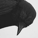 Vivian De Souza Bernardes