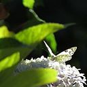 Maria Trinidad González Hernández