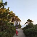 Brixit Lorenzo de la Fuente