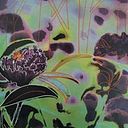 Lourdes Puertas Gomez