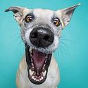 Santiago Herrera Verduzco