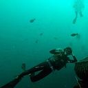 Josef Gonzalez Baidi