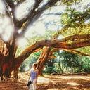 Rocío Esperanza Ccasani Chávez