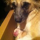 Lorena Pereira Ferreira