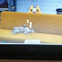 María Daza Pertíñez