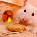 Camila Hernández Quiroz