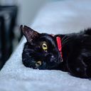 Jhon Edward Ortegon Morales