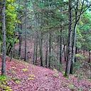 Apolo Artes Visuales