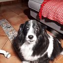 Maria Jose González González